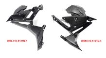  BMW S1000R (2021- ) Carbon Kühlerverkleidung