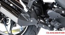  BMW R1300R Carbon Auspuffhitzeschutz vorne