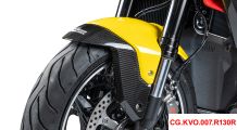  BMW R1300R Carbon Kotflügel vorne