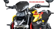  BMW R1300R Carbon Windschild