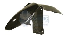  BMW F800R Carbon Kotflügel vorne F800R 2006-2014