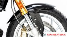  BMW R 1250 RS Carbon Kotflügel vorne