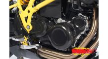  BMW F650GS (08-12), F700GS & F800GS (08-18) Carbonprotektor Lichtmaschinendeckel groß