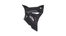  BMW S1000R (2021- ) Carbon Ritzelabdeckung