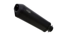  BMW R 1250 R SHARK DSX-10 Auspuff