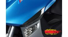  BMW C 600 Sport Sturzpads vorne