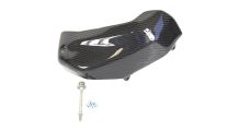  BMW R 1250 R Carbon Ventildeckelabdeckung rechts
