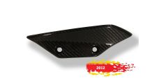  BMW S1000RR (2009-2018) Verkleidungswinglet Carbon