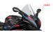 BMW S1000RR (2019- ) Windschild R-Racer