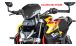 BMW R1300R Carbon Windschild