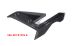 BMW S1000R (2021- ) Carbon Verkleidungsseitenteile