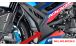 BMW S1000R (2021- ) Carbon Kühlerverkleidung