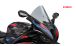 BMW S1000RR (2019- ) Windschild R-Racer