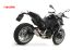 BMW F900R ARROW PRO-RACE Euro 5 Schalldämpfer