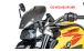 BMW R1300R Carbon Windschild