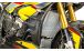 BMW S 1000 XR (2015-2019) Carbon Kühlerverkleidung