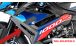 BMW S1000R (2021- ) Carbon Kühlerverkleidung