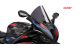 BMW S1000RR (2019- ) Windschild R-Racer