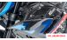 BMW S1000R (2021- ) Verkleidungswinglet Carbon