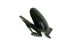 BMW G650Xchallenge, G650Xmoto, G650Xcountry Kotflügel hinten