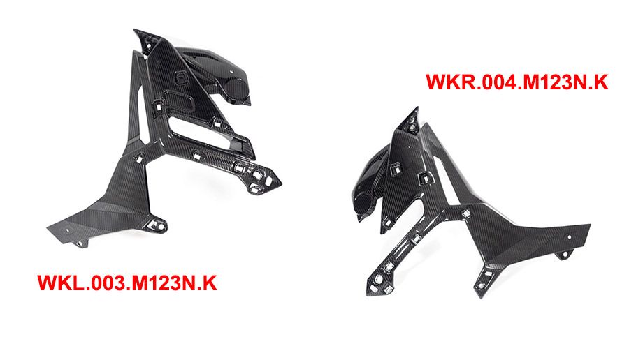 BMW S1000R (2021- ) Carbon Kühlerverkleidung