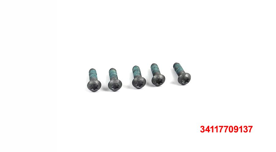 BMW S 1000 XR (2020- ) 5x Schrauben M6x18-8.8-MK / M6x16 MK