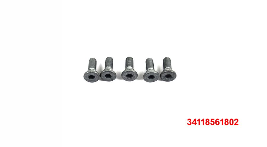 BMW G 310 GS 5x Schrauben für Bremsscheibe vorne / hinten
