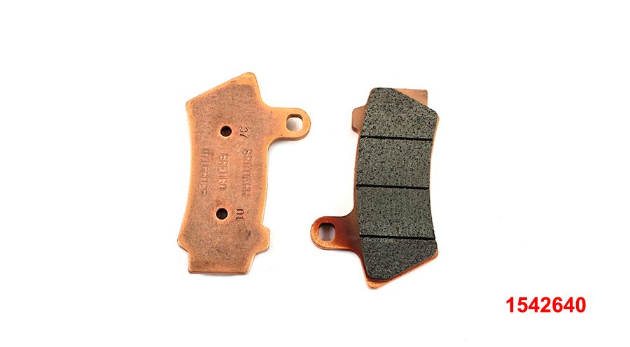 BMW R 18 Bremsklötze hinten