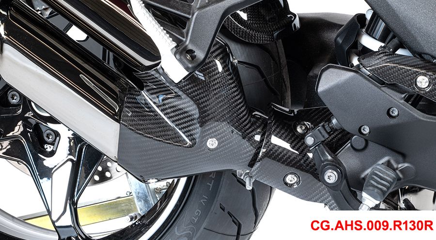 BMW R1300R Carbon Auspuffhitzeschutz vorne