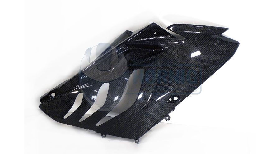 BMW S1000RR (2009-2018) Verkleidungsseitenteile - Rennstrecke