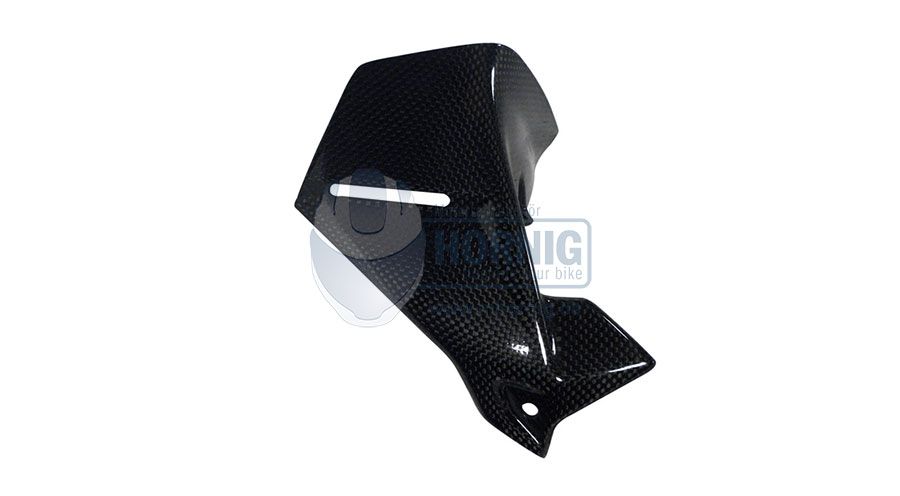 BMW R 1200 GS LC (2013-2018) & R 1200 GS Adventure LC (2014-2018) Carbon Windabweiser am Cockpit links