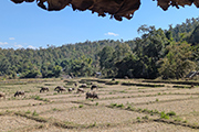 Mae Hong Son Loop - Etappe 2